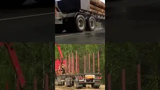Thumbnail: Final Destination LIED!