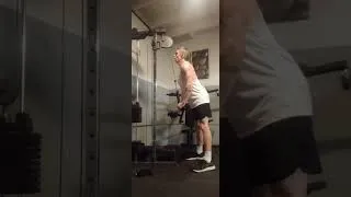 Thumbnail: Triceps Push Down - I'm So Shiny #triceps #armworkout #ytshorts