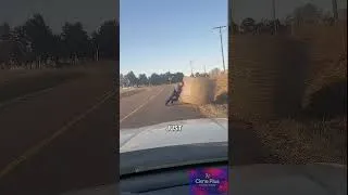 Thumbnail: Strongest Cop Ever? He Solo-Moves a GIANT Hay Bale