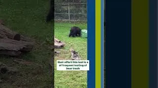 Thumbnail: Bear Resistant Trash Cart Test