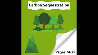 Thumbnail: Review the Climate Action and Adaptation Plan