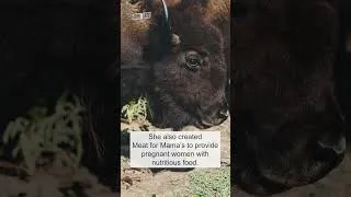 Thumbnail: Lucille Contreras on Restoring Bison in Texas