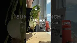 Thumbnail: Sunday Brunch
