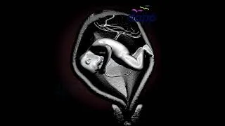 Thumbnail: Amazing Moments Inside the Womb! ✨ #Shorts (3D Animation)