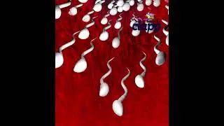 Thumbnail: Fertilization, Journy of sperm in search of egg 8 🏁🥚 #Fertilization #Science