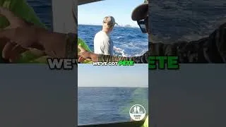 Thumbnail: #gamefishing #beekeeping #yellowfintuna