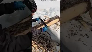 Thumbnail: Off-Grid Cabin: last of the winter chores