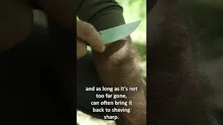 Thumbnail: This trick sharpens any knife #lifehacks #outdoors #skills