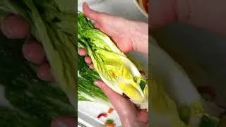 Thumbnail: White Kimchi (non-spicy) #short #kimchi