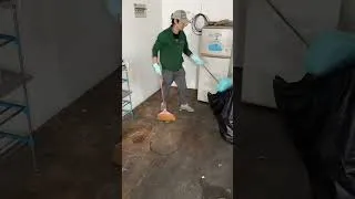 Thumbnail: ✨Satisfying Deep Clean Transformation!#satisfying #cleanwithme