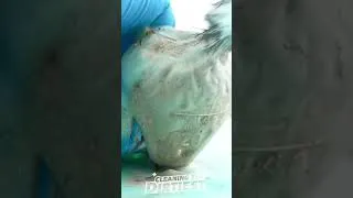 Thumbnail: Speed Cleaning the DIRTIEST Los Angeles Lakers Basketball Championship Ring!