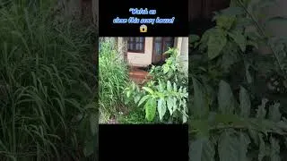 Thumbnail: Uncovering Abandoned Homes P1