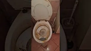 Thumbnail: Sad Thing He Can't See His Clean Home