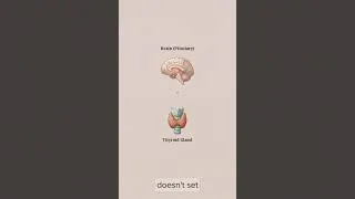 Thumbnail: Thyroid Hormones Made Easy | T3, T4 & TSH in 60 Seconds | NCLEX 🦋 #clearpathnclex #nclexstudyguide