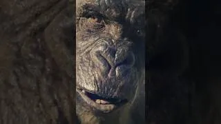 Thumbnail: Godzilla Has A Surprise For Kong.. 😳 #godzillaxkong