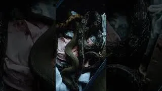 Thumbnail: Snakes everywhere! 🐍🧳 #prisoners #snakes