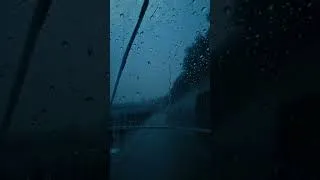 Thumbnail: The world is all about blue, rain and calmness. #rain #blueworld #soothing #chill