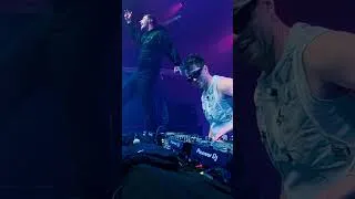 Thumbnail: Vibes are insane🤯 #tomgregory #vize