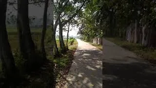 Thumbnail: taking a morning walk on a beautiful windy day