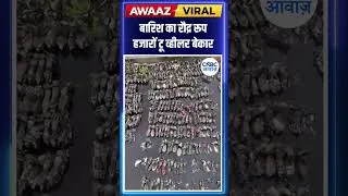 Thumbnail: #AwaazShorts | बारिश का रौद्र रूप, हजारों टू व्हीलर बेकार