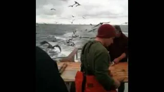 Thumbnail: Daily Double fishing in San Diego