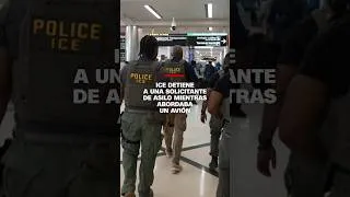 Thumbnail: ICE detiene a una solicitante de asilo mientras abordaba un avión