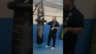 Thumbnail: NINJAnuity -  Heavy Bag Attachment,  Uppercut, Spearhand, Toe Kicks ...