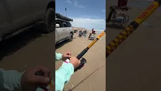 Thumbnail: 45 minute Fight…What Was Really On My Line? Put your theory in the comments. #SouthPadreIsland