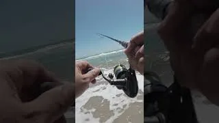 Thumbnail: The Last Fish I Expected to Catch on a Gold Spoon!
