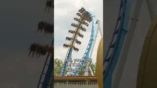 Thumbnail: Are you TOO tall? #shorts #tallpeopleproblems #rollercoaster
