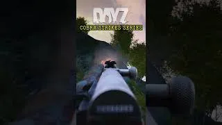 Thumbnail: Cobra Strikes Series - DayZ