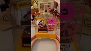 Thumbnail: Mini Vinyl Playset at Costco🎧🎵✨