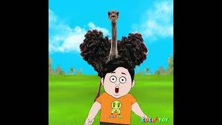 Thumbnail: While observing ostrich eggs..  ⭐ #Shorts ㅣanimals quiz for kids ㅣCoCosToy