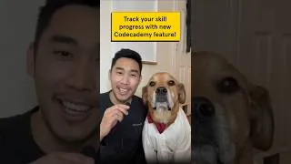 Thumbnail: See your tech skills breakdown on Codecademy
