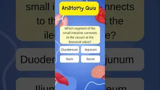 Thumbnail: Can You Pass This Anatomy Quiz for CPC?
