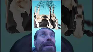 Thumbnail: Game Narrator Can Affect Game In Certain Ways...