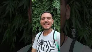 Thumbnail: Hello Jakarta 🤟 #coffeeandreactions #shorts #jakarta