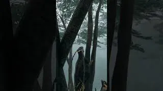 Thumbnail: All I could think about LOL #theisle #theisleevrima #theislegame #dinosaurgames #dinosaur