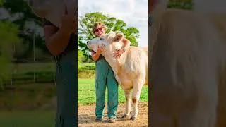 Thumbnail: Happy cow appreciation day