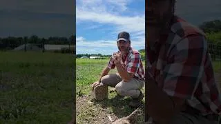 Thumbnail: Keeping them happy and busy while we’re gone