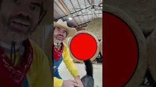 Thumbnail: Do You Know This Shape Little Farmer?
