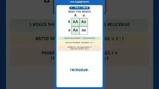 Thumbnail: Revision checklist: inheritance + Punnett Squares!