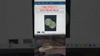 Thumbnail: Only 250,000 Of These Coins To Be Released Into Circulation! This Year!