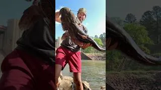 Thumbnail: Caught the undisputed spillway monster! 😳 #fishing #viral #catfish #outdoors