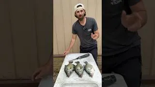 Thumbnail: Best way to fillet big crappie and not waste meat! #fish #fishing #howto #crappie #cleaning