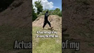 Thumbnail: Actual Footage of My Cat Using the Litter Box!