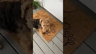 Thumbnail: Easy DIY Doormat With Acrylic Paint