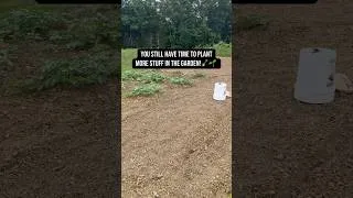 Thumbnail: YOU STILL HAVE TIME TO PLANT MORE IN THE GARDEN!🪏🌱😁     #gardening #gardeningtips #farmtotable