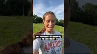 Thumbnail: Homesteading: Lots of harvesting & canning!      #gardening #canning #farmtotable #homestead