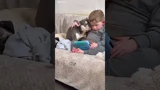 Thumbnail: This Is Why Every Baby Should Grow Up With A Dog